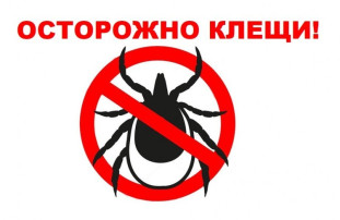 ОСТОРОЖНО, КЛЕЩИ! ОСТОРОЖНО, КЛЕЩИ!.